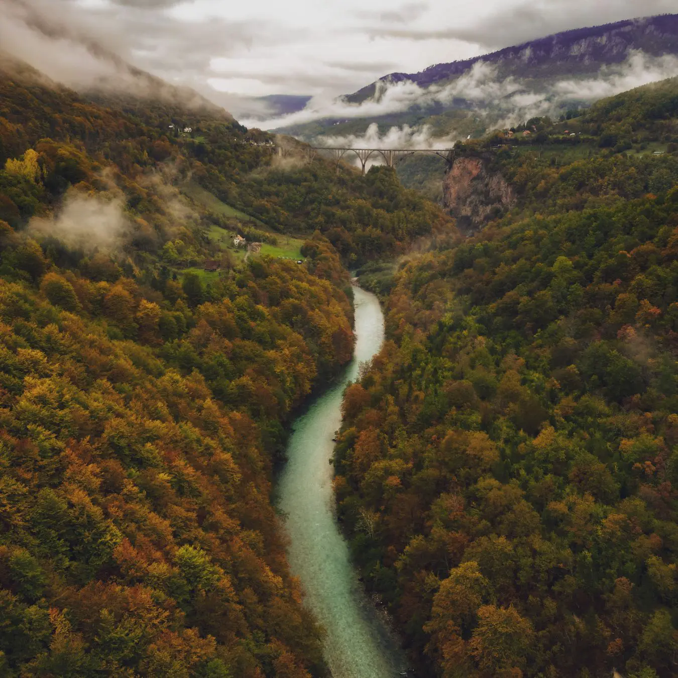 Фотография предложения «Из Котора по Черногории: каньон Тара и горы Дурмитора»